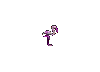 flamingo_e0.gif