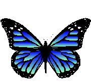 blue_butterfly_2.gif