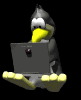 penguin_type_laptop_md_blk.gif